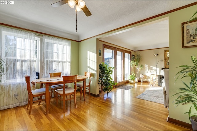 dining room with a textured ceiling, ceiling fan, wood finished floors, and crown molding