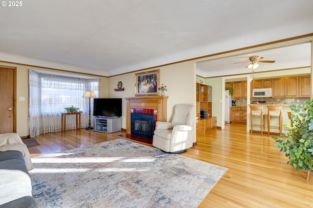 living room featuring ceiling fan, light wood-type flooring, a fireplace, and crown molding