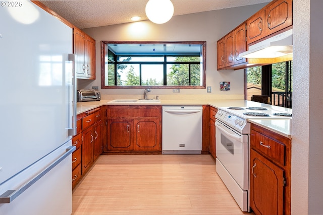 kitchen featuring lofted ceiling, sink, white appliances, a wealth of natural light, and a textured ceiling