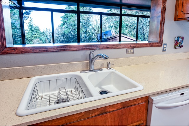 interior details with dishwasher and sink