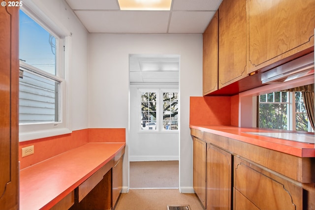 kitchen featuring a paneled ceiling, plenty of natural light, and light colored carpet