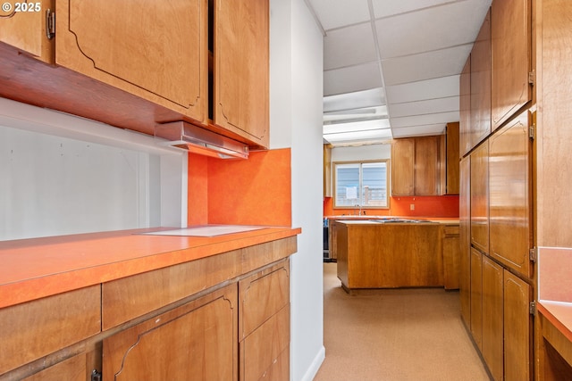 kitchen featuring sink, a paneled ceiling, light colored carpet, and electric stovetop