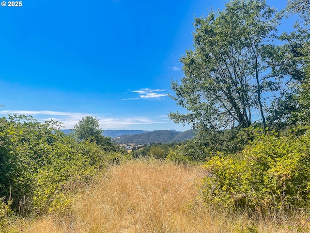 0 NE Alameda Ave, Roseburg OR, 97470 land for sale