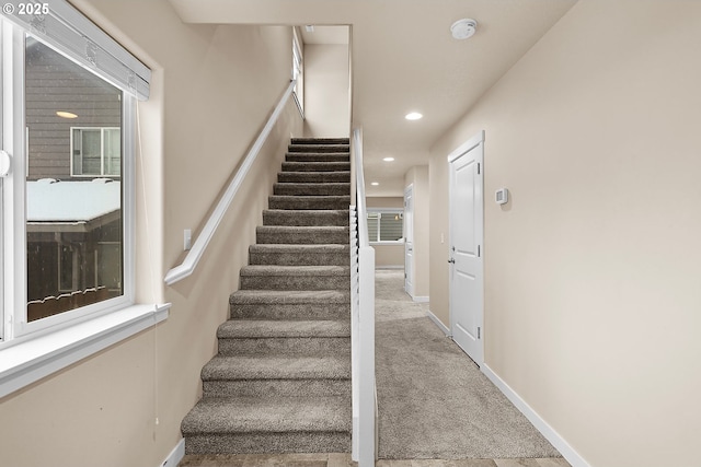 staircase featuring carpet floors