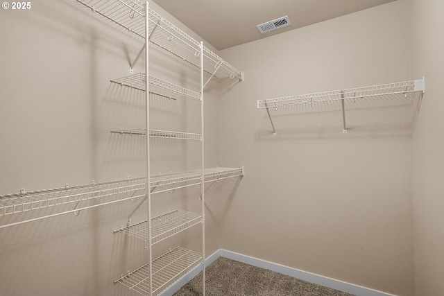 spacious closet with carpet floors