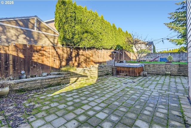 view of yard with a patio area and a hot tub