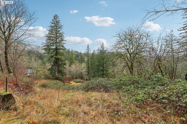 205 NE 353rd Ave, Washougal WA, 98671 land for sale