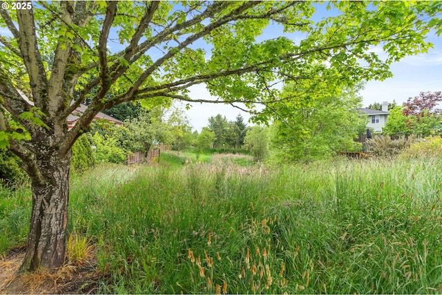 16041 NW Trakehner Way, Portland, OR 97229 - view of local wilderness