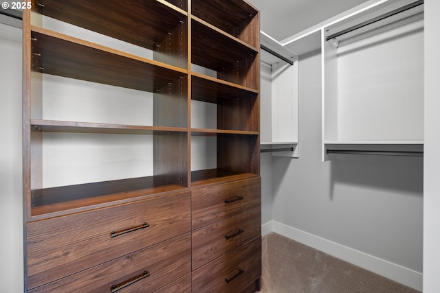 16849 SW Friendly Ln, Beaverton, OR 97007 - walk in closet featuring carpet floors