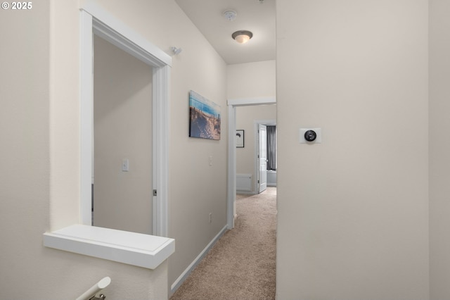 1020 SW 170th Ave Unit 203, Beaverton, OR 97003 - hallway with light colored carpet and baseboards
