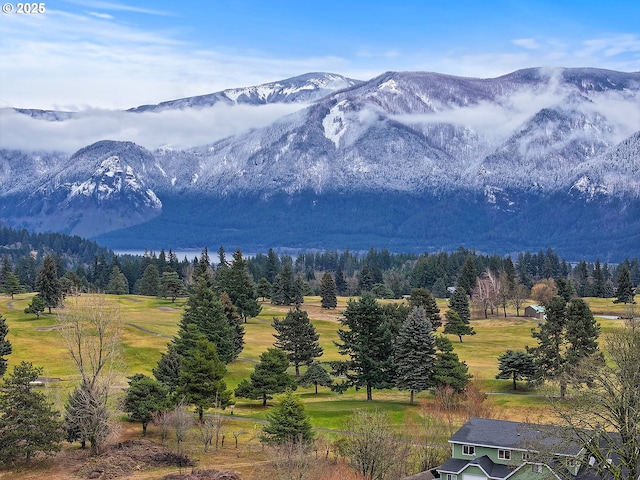 mountain view with a forest view