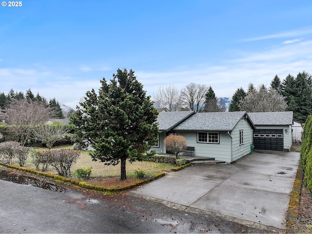 view of front of house with concrete driveway, an attached garage, and a shingled roof