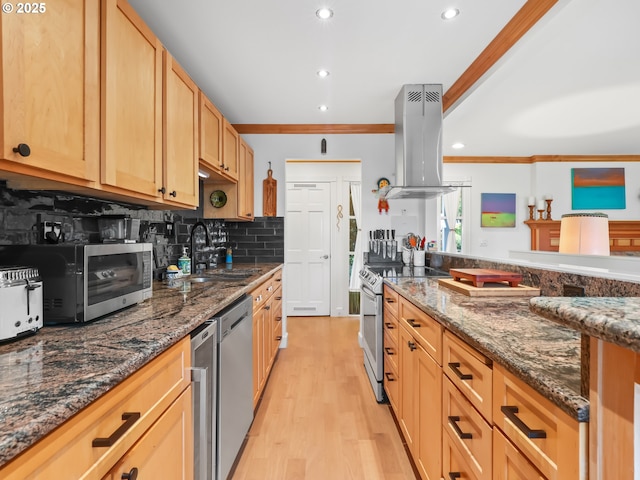 kitchen with backsplash, ornamental molding, appliances with stainless steel finishes, island range hood, and a sink