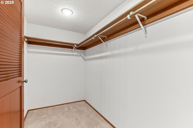 spacious closet with light carpet