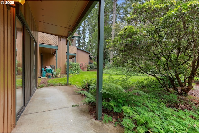 view of grassy yard featuring a patio