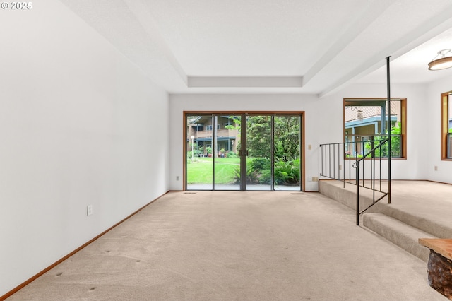 unfurnished living room featuring carpet and a raised ceiling