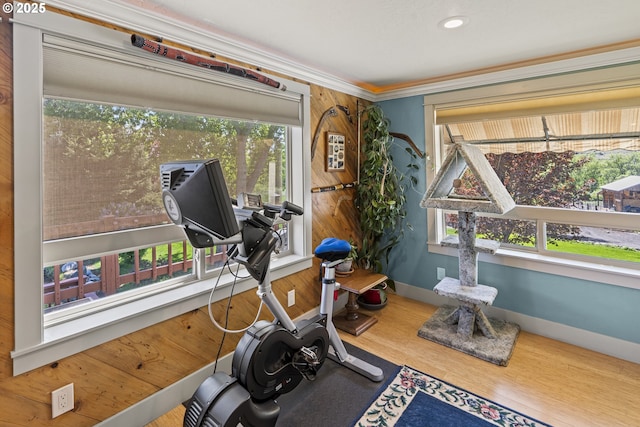 workout room with crown molding, wood finished floors, baseboards, and recessed lighting