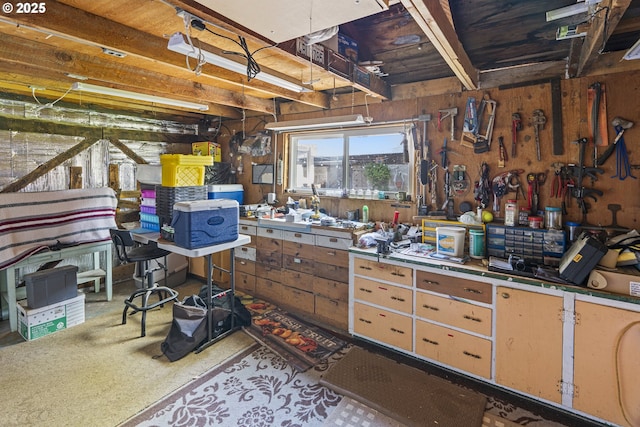 misc room with a workshop area