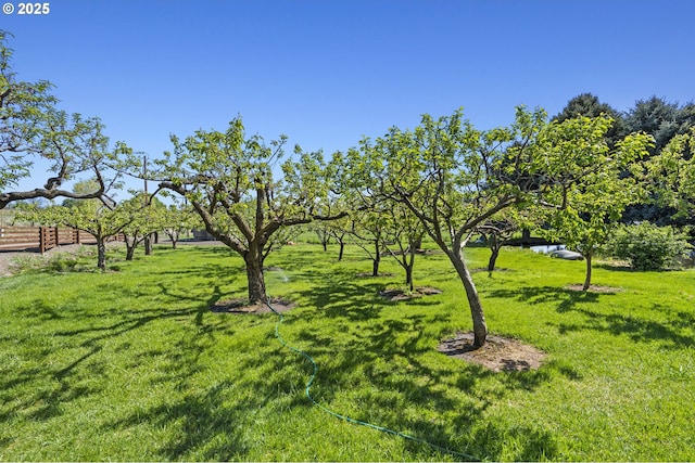 view of grassy yard
