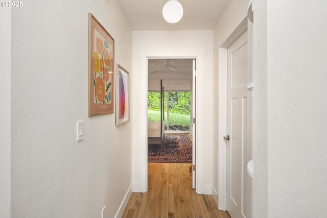 25 SW 143rd Ave, Beaverton, OR 97006 - hall with baseboards and light wood-type flooring