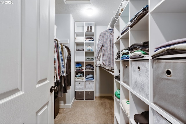 spacious closet with attic access and carpet floors