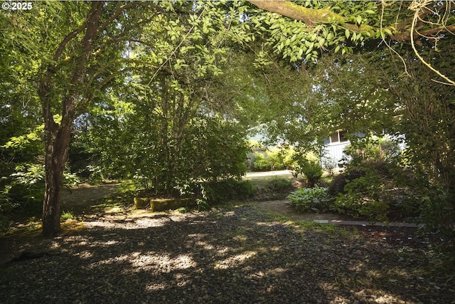 2136 SE Kelly Ave, Gresham, OR 97080 - view of yard