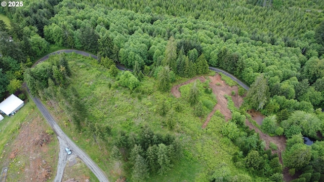 300 Dahlman Rd, Castle Rock, WA 98611