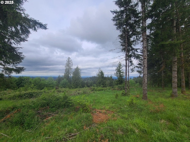 300 Dahlman Rd, Castle Rock, WA 98611