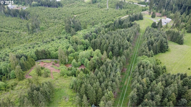 300 Dahlman Rd, Castle Rock, WA 98611