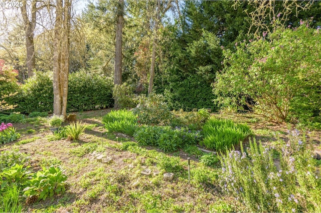 view of yard featuring a garden