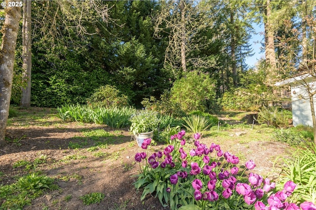 view of nature