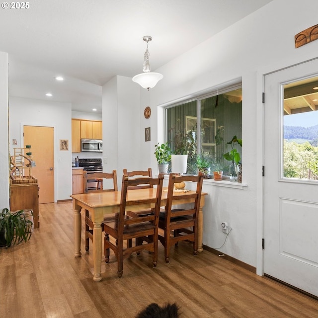 1104 Upper Cow Creek Rd, Azalea, OR 97410 - dining room with light wood finished floors, recessed lighting, and baseboards