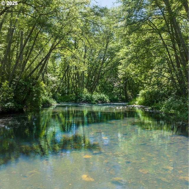 1104 Upper Cow Creek Rd, Azalea, OR 97410 - water view with a forest