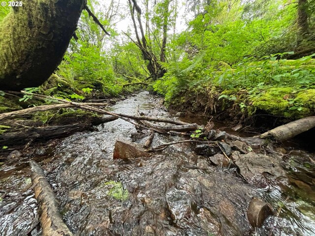 Elk River Rd, Port Orford, OR 97465