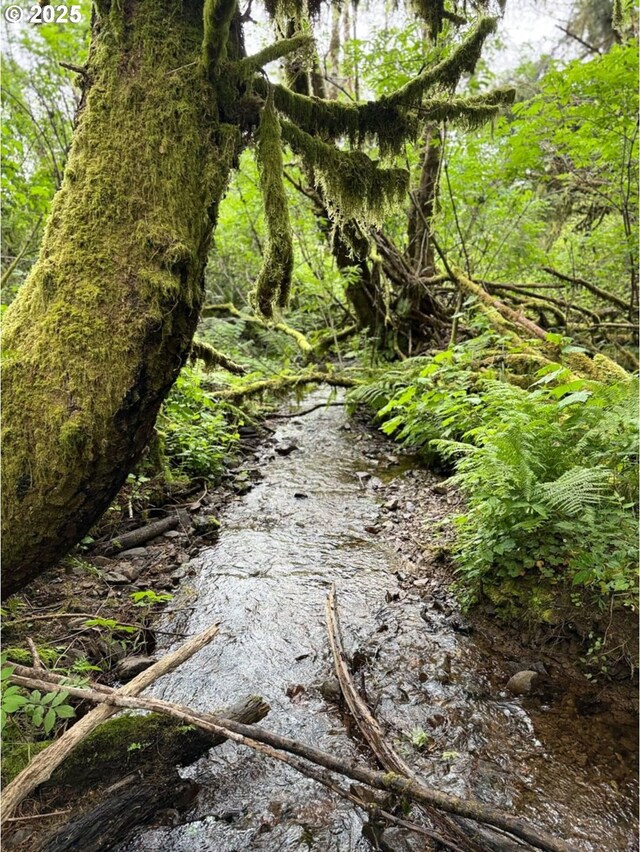 Elk River Rd, Port Orford, OR 97465