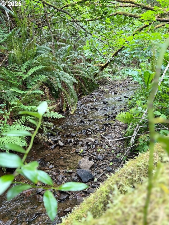 Elk River Rd, Port Orford, OR 97465