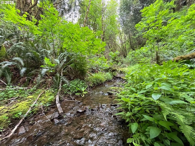 Elk River Rd, Port Orford, OR 97465