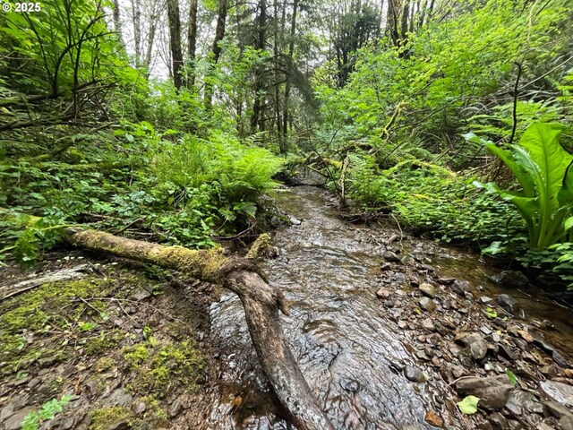 Elk River Rd, Port Orford, OR 97465