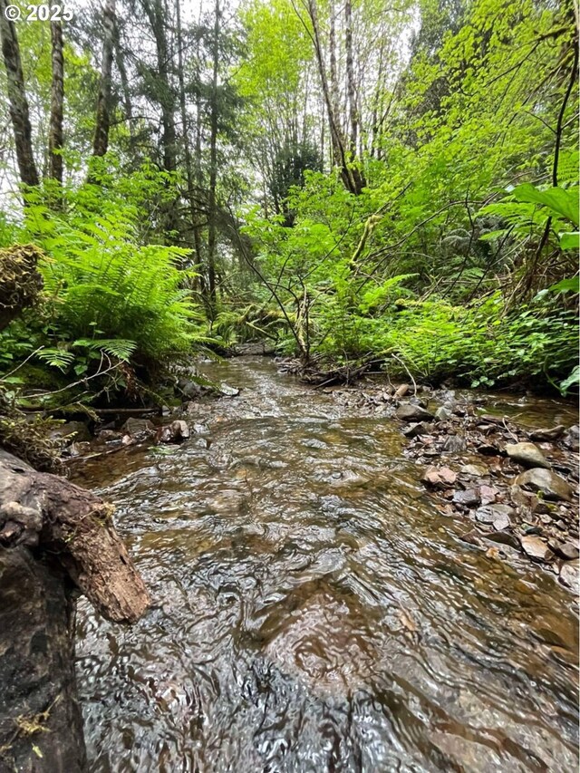 Elk River Rd, Port Orford, OR 97465