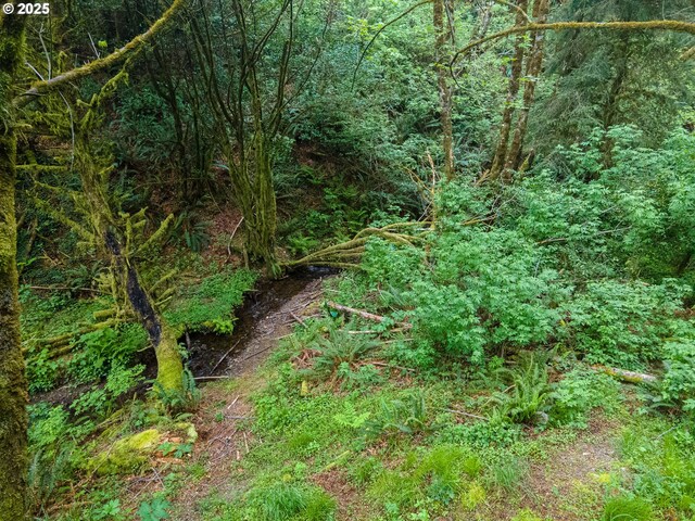 Elk River Rd, Port Orford, OR 97465