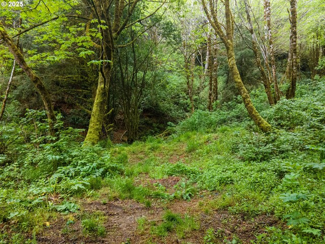 Elk River Rd, Port Orford, OR 97465