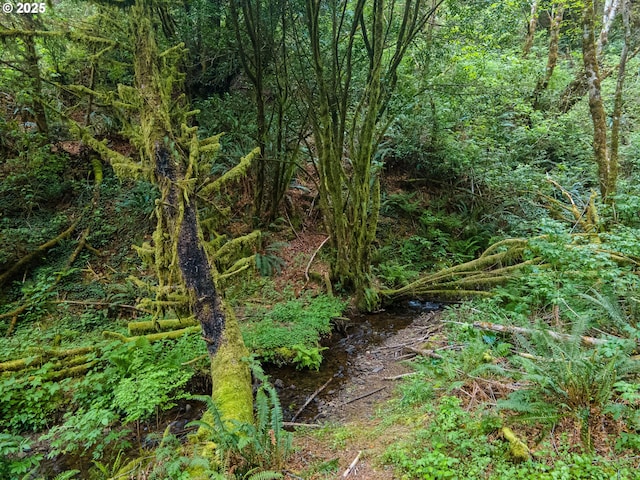 Elk River Rd, Port Orford, OR 97465