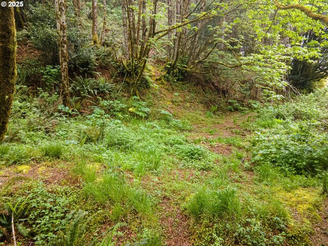Elk River Rd, Port Orford, OR 97465