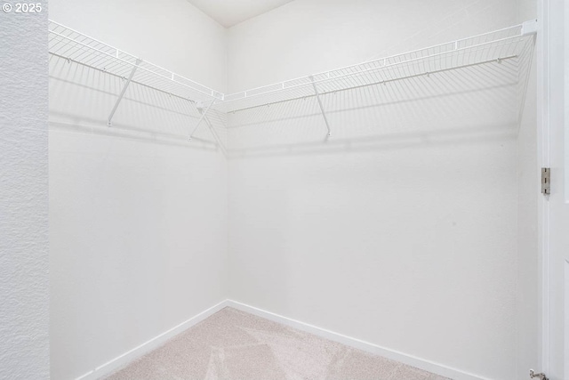 2990 T St, Springfield, OR 97477 - walk in closet featuring carpet
