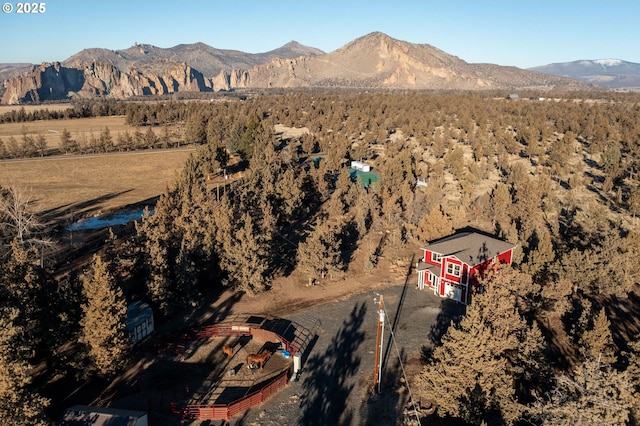 drone / aerial view with a mountain view