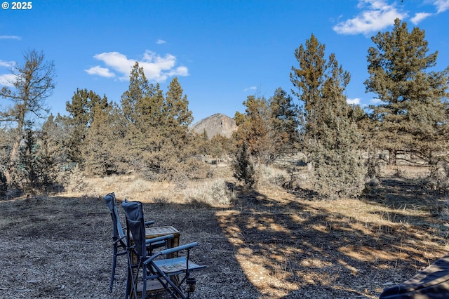 view of yard with a mountain view