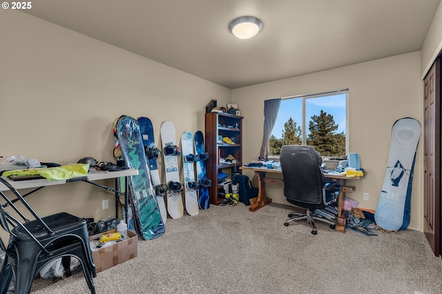 view of carpeted home office