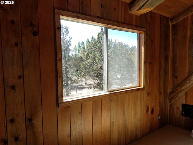 interior space with wood walls