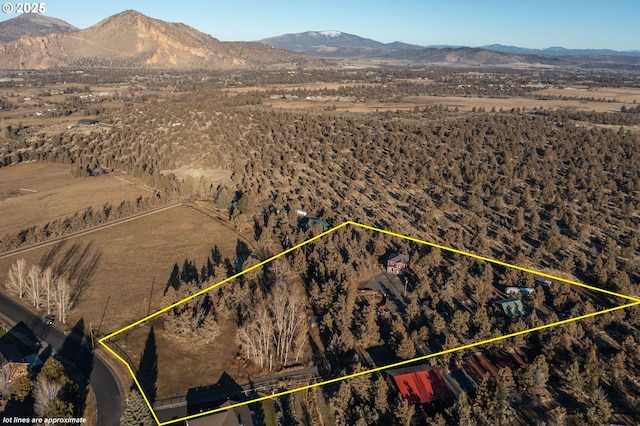 bird's eye view featuring a mountain view