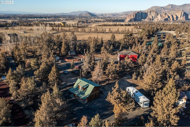 bird's eye view featuring a mountain view